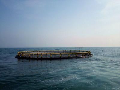 Aquaculture PE Fish Pen for Lake Fish Farm