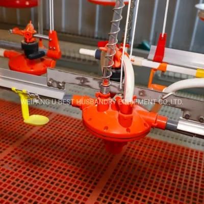 Imported Design Nipple Drinking Line for Broiler Chicken Farm