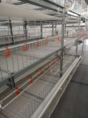 Automated Battery Cage System for Broiler/Chicken Layer/Egg Chicken