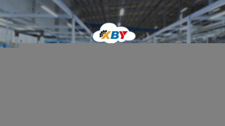 Russian Poultry Slaughter Meat Processing Equipment Chicken Feather Plucking Machine for Sale