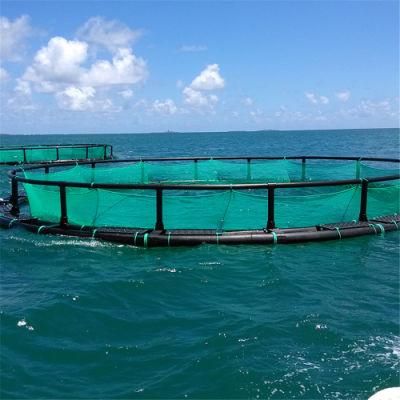 Circlular HDPE Tilapia Fish Farming Cages Farming Net Cage