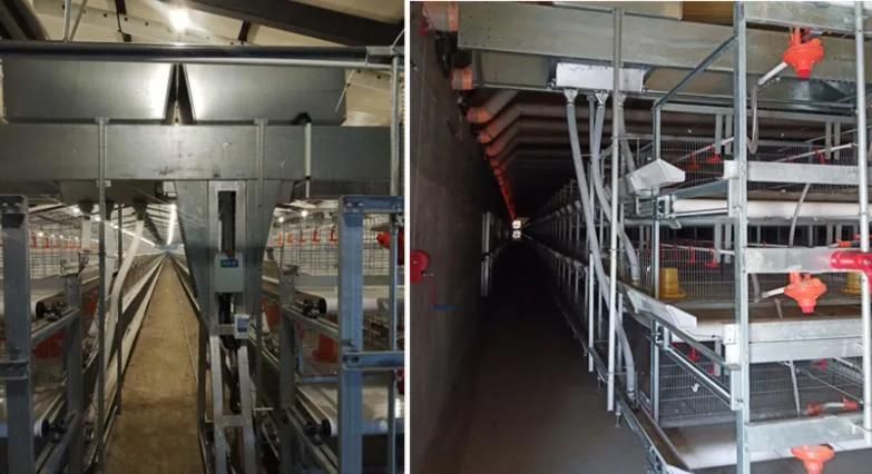 4 Tier Modern Design Steel Structure House Automatic Broilers Chicken Battery Cage System for Sale