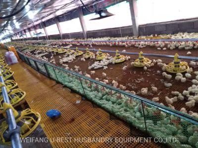 Automatic Chicken Feed Equipment Plastic Feeding System Chicken Farm Animal Cages Feeder Pan