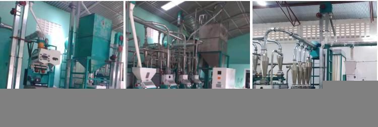 30tpd Maize Milling Plant Running in Angola