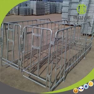 High Quality Gestation Stall Using in Modern Pig Farm