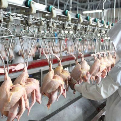 China Manufacturers Poultry Abattoir Processing Slaughter House Equipment for Chicken Slaughtering