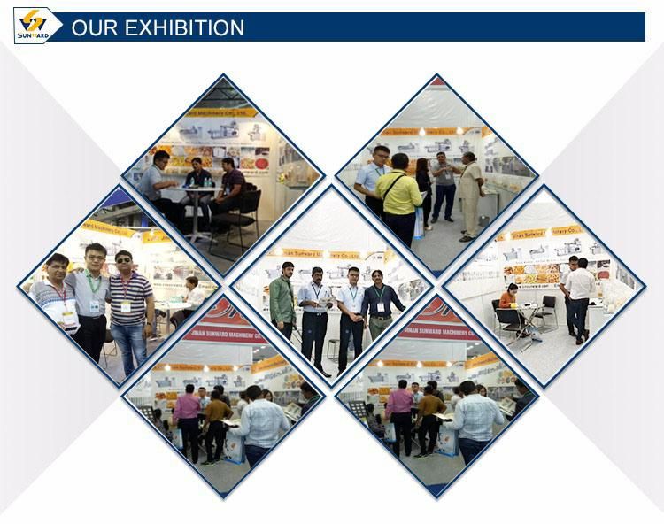 Jinan Sunward Automatic Floating and Sinking Fish Feed Extruder Machine Fish Pellet Machine Fish Feed Machine