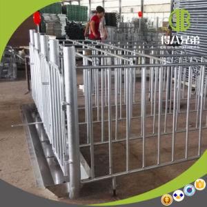 Wholesale Gestation Stall Individual Stall Made by Deba Brother