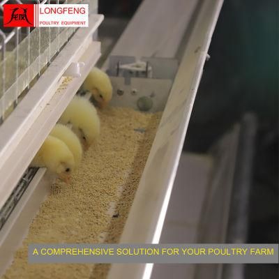 Reliable and Safety Poultry Farm Broiler Chicken Cage for Farms