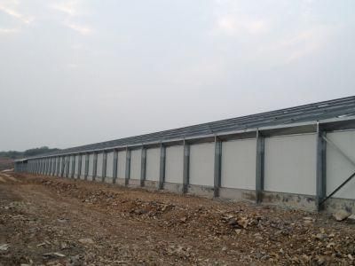 Chicken Farm/Steel Structure Poultry House/ Broiler Chicken House