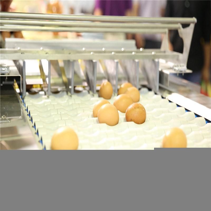 High Quality Automatic Egg Grading & Package Machine for Sale