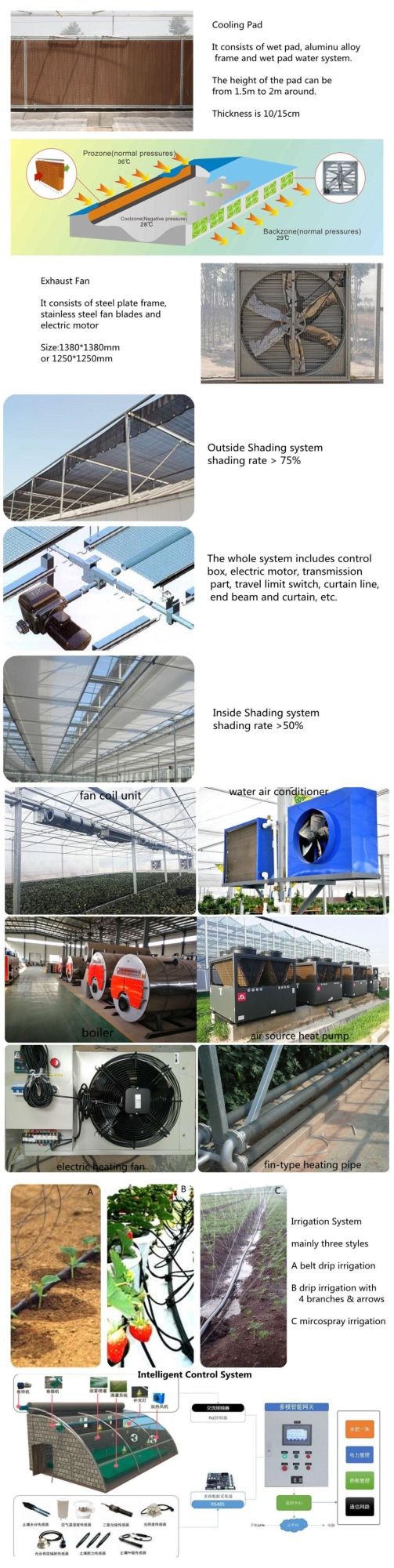 Factory Prefabricated Models of Agriculture Seedling Machines with Watering Station and Air Compressor for Complete Sowing Handling for Farming