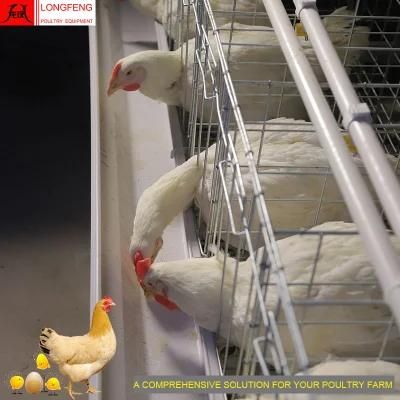 Longfeng High Quality Poultry Equipment for a Type of Layer Cage