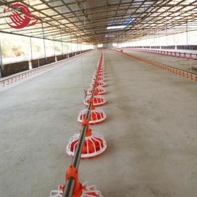 Chicken Farm Broiler Feeding and Drinking System
