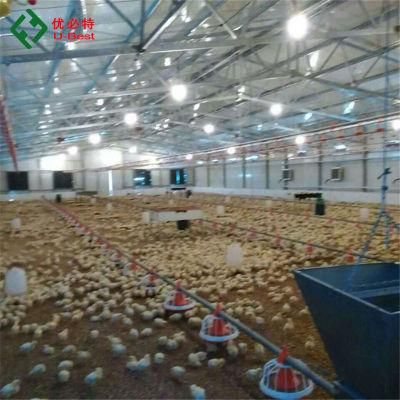 Automatic Control Shed Poultry Farming Equipment for Chicken Broiler