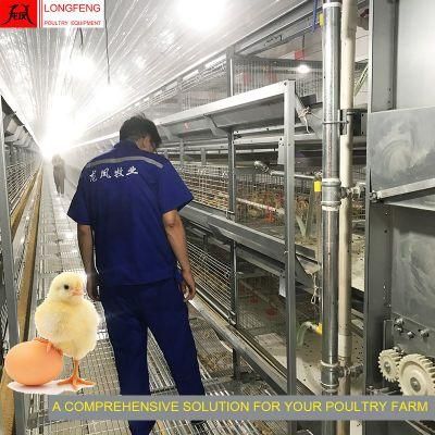 Hopper Trolley Cart Provide on-Site Installation Instruction Pullet Layer Chicken Cage