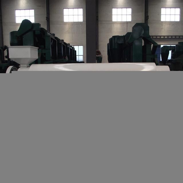 Soybean, Coffee, Kidney Bean Polishing Machine