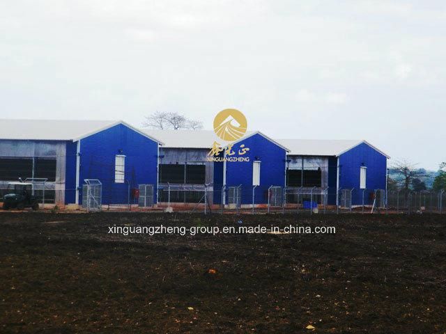 Steel Chicken House/Steel Poultry Shed with Automatic Equipments (XGZ-211-002)