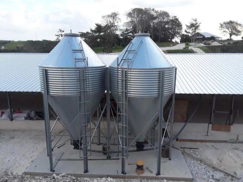 Poultry Broiler Chicken Farm Fully Automatic Farming Feeding/Drinking Line System Equipments