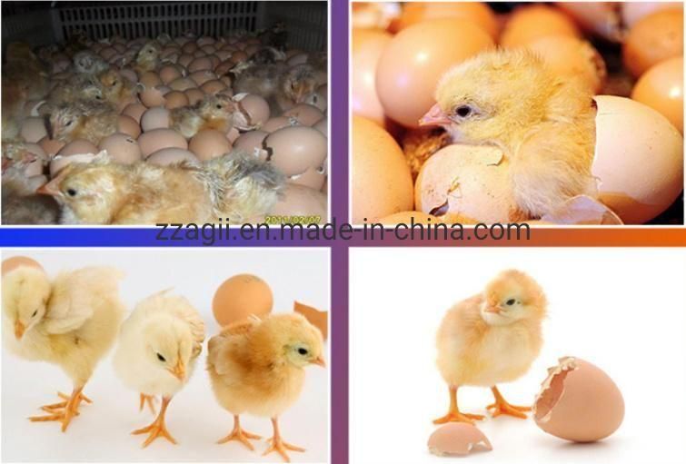 Full Automatic Industrial Commercial Solar Chicken Egg Incubator