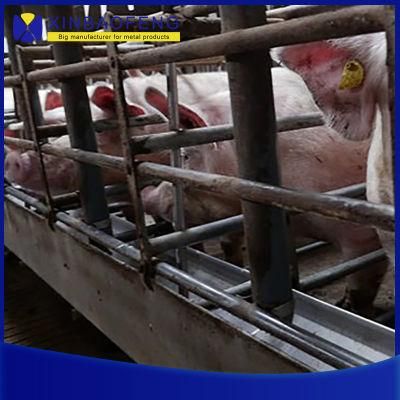 Pig Farming Equipment Sow Farrowing Crate Stalls