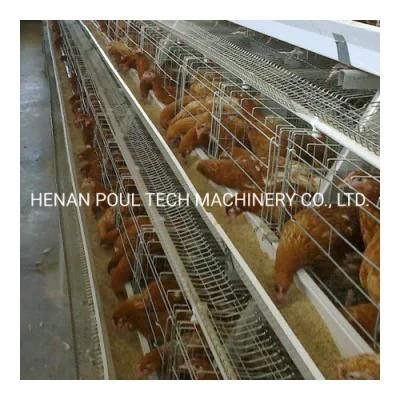 Galvanized Layer Chicken Cage Hot Sale Poultry Cages for Hens Chicken