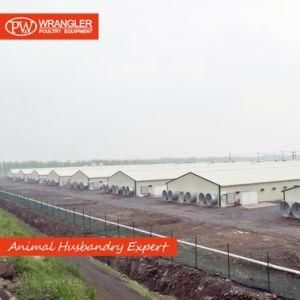 Poultry House Ground Farm Equipment
