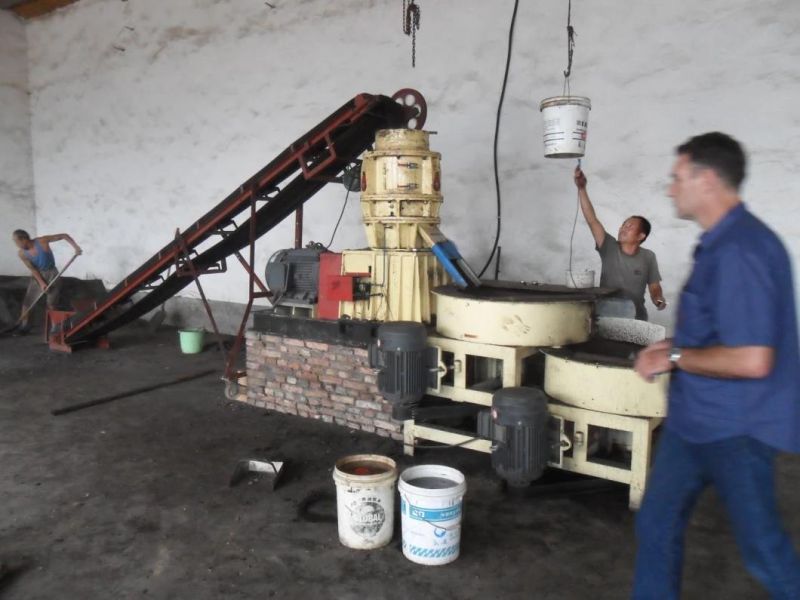 2 Rollers Pellet Machine for Fertilizer Pelletizing