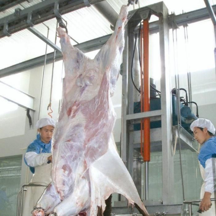 Cattle Sheep Pork Pig Slaughter/Slaughtering Machine/Equipment