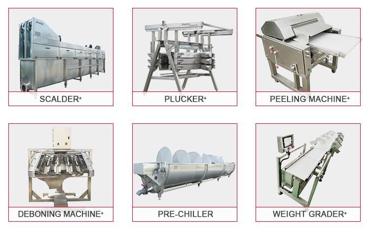 New Technology with ISO9001 Poultry Chicken Processing Production Line