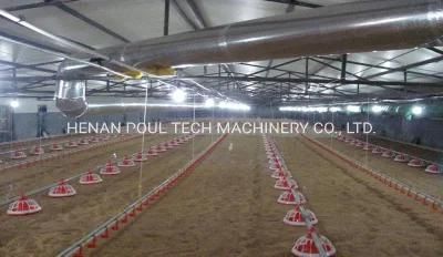 Automatic Poultry Farm Broiler Breeder Floor Raising System