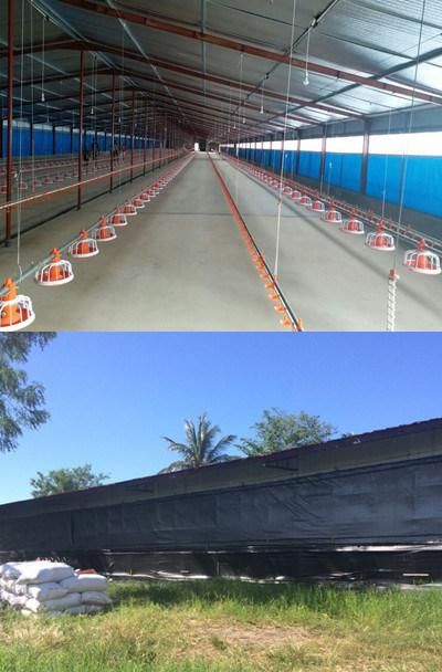 China Steel Poultry Farm Structures Design Layout Project Chicken House in The Philippines