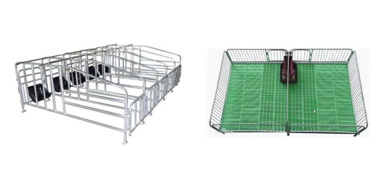 Made in China Livestock Poultry Farm Piggery Equipment Pig Farming Farrowing Pen Crate Galvanized Frame PVC Fence Panel Cage for Sale with Plastic Slatted Floor
