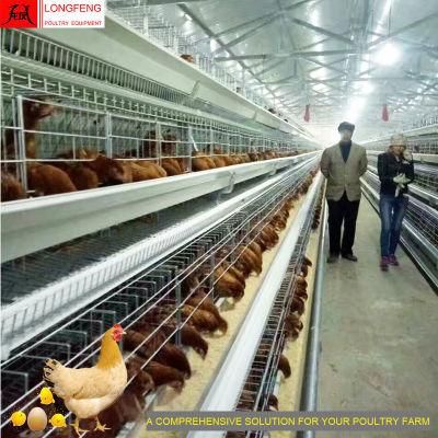 Longfeng Electric Hot Galvanized on-Site Installation Instruction Chicken Cage with Factory Price