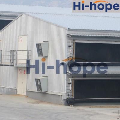Large Scale Automatic Chicken Broiler House Poultry Farm Design