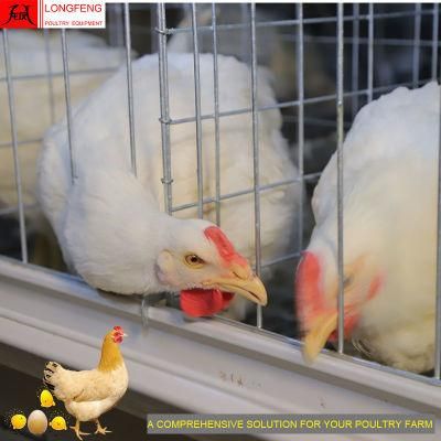15-20years Longfeng China Layer Poultry Farm Battery Chicken Cage with Good Service