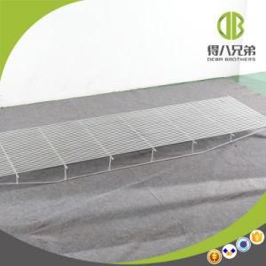 Manufacturer of Triangular Steel Floor for Farrowing Crates