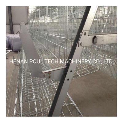 Chicken Cage for Sale Layer Chicken Cage a-Type Battery Chicken Cage Factory Directly Sale