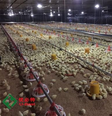 Poultry Automatic Used Broiler Equipment Farm Broiler Pan Feeding System