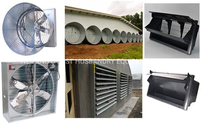 Chicken Poultry Farm House Design and Automatic Broiler Ground Raising Equipment
