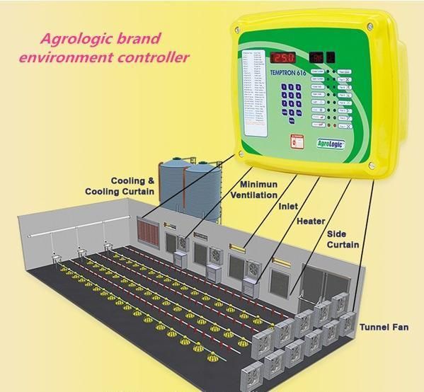 Automatic Feeding Line System Pan Feeder Nipple Drinker Poultry Farming Equipment for Broiler Chicken Products