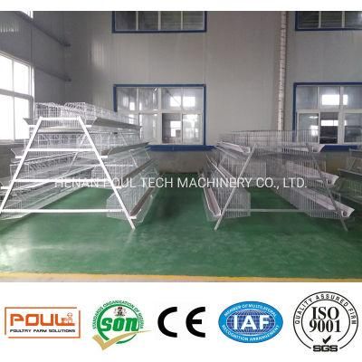 a Type Layer Cage Raising Equipment for 82000 Birds Layer Project