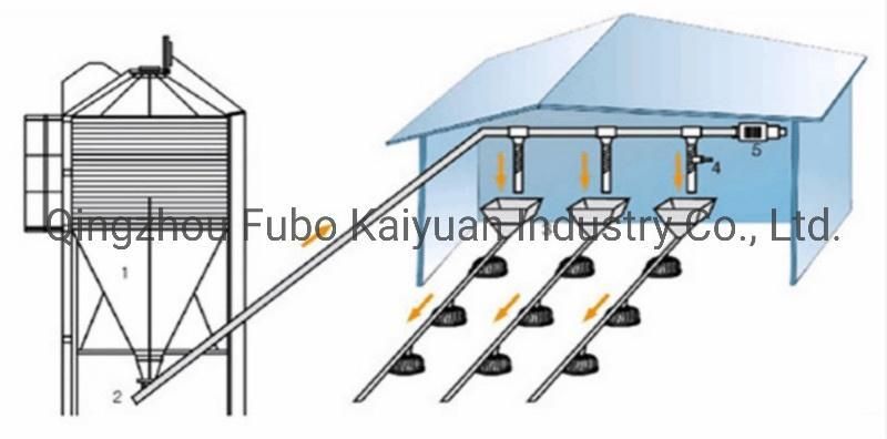 Poultry House Automatic Auger Pan Feeding Line System for Broilers