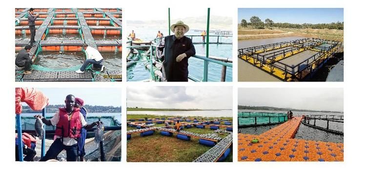 HDPE Material Aquaculture Anti -Wave Floating Fish Farming Cage