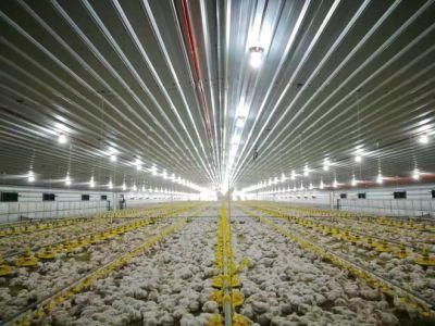 Chicken Poultry Farming Equipment Feeding System Broiler Pan