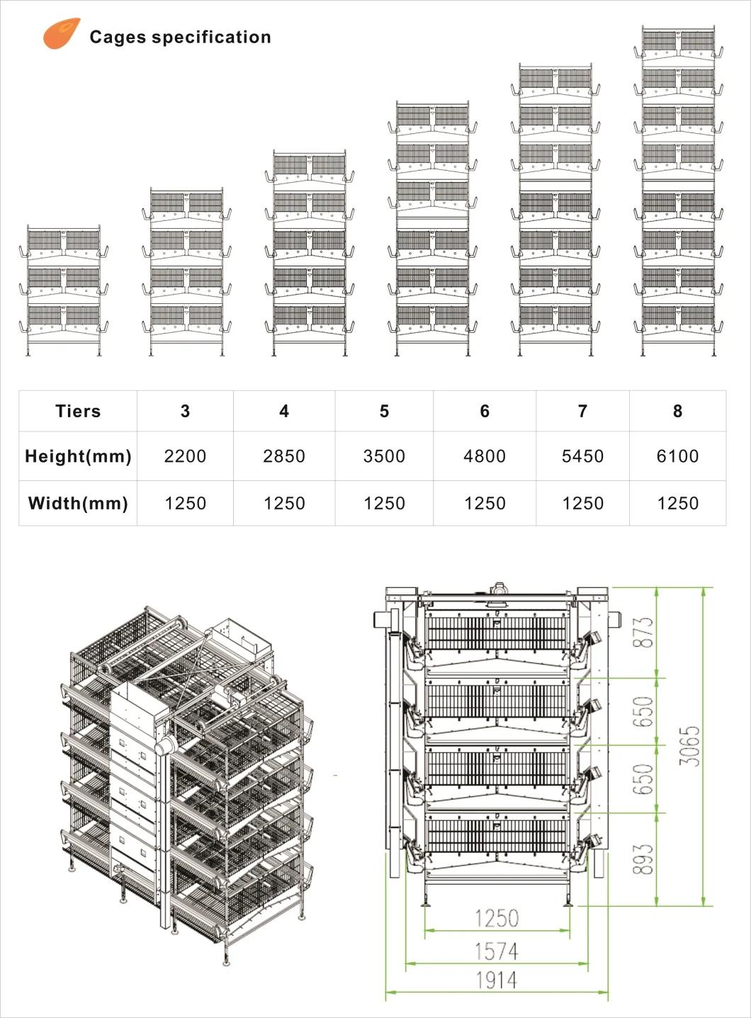 2022 New H Type Layer Chicken Cage with Automatic Equipment