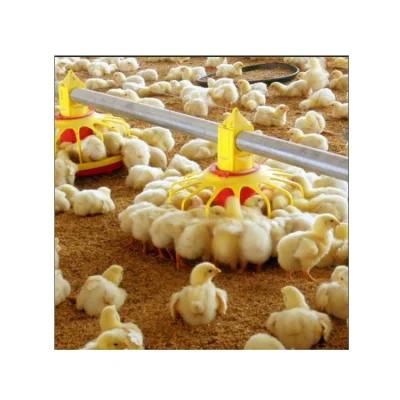 Ground Poultry Raising Equipment for Chicken Broiler