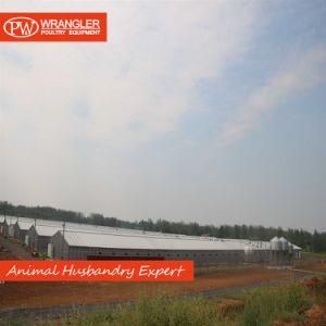 Steel Structure Farm Poultry Shed/Chicken House/Complete Poultry Farm Equipment