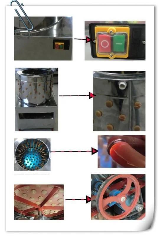 Electric Farm Equipment Poultry Equipment Chicken Slaughtering Machine (TM-65)