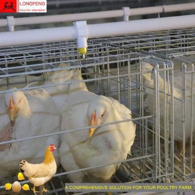 90 Birds, 120birds, 160birds Local After-Sale Service in Asia Poultry Farm Chicken Egg Laying Cage